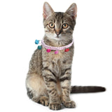 Maxbell Dog Collars Pet Collars Bells Kitty Rabbit Cat Collar Necklace with Bell Pink