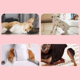 Maxbell Dog Diaper Soft Super Absorption for Dogs Excitable Urination Incontinence male S