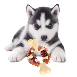 Maxbell Dog Chew Toy Durable Silicone Portable Tough Chewer for Boredom Relaxing Small