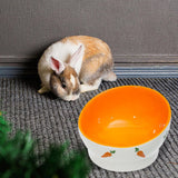 Maxbell Non Slip Rabbit Feeder Bowl Feeding Basin for Hedgehog Gerbils Puppy Kitten 8.5cmx6.5cm