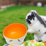 Maxbell Non Slip Rabbit Feeder Bowl Feeding Basin for Hedgehog Gerbils Puppy Kitten 8.5cmx6.5cm