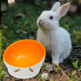 Maxbell Non Slip Rabbit Feeder Bowl Feeding Basin for Hedgehog Gerbils Puppy Kitten 8.5cmx6.5cm