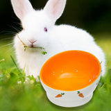 Maxbell Non Slip Rabbit Feeder Bowl Feeding Basin for Hedgehog Gerbils Puppy Kitten 8.5cmx6.5cm