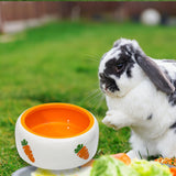 Maxbell Non Slip Rabbit Feeder Bowl Feeding Basin for Hedgehog Gerbils Puppy Kitten 11cmx4.5cm Round