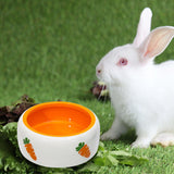 Maxbell Non Slip Rabbit Feeder Bowl Feeding Basin for Hedgehog Gerbils Puppy Kitten 11cmx4.5cm Round