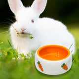 Maxbell Non Slip Rabbit Feeder Bowl Feeding Basin for Hedgehog Gerbils Puppy Kitten 11cmx4.5cm Round