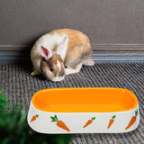 Maxbell Non Slip Rabbit Feeder Bowl Feeding Basin for Hedgehog Gerbils Puppy Kitten 19cmx8.3cmx4.2cm