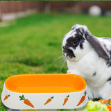 Maxbell Non Slip Rabbit Feeder Bowl Feeding Basin for Hedgehog Gerbils Puppy Kitten 19cmx8.3cmx4.2cm