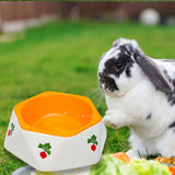 Maxbell Non Slip Rabbit Feeder Bowl Feeding Basin for Hedgehog Gerbils Puppy Kitten 14.5cmx4.7cm