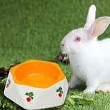 Maxbell Non Slip Rabbit Feeder Bowl Feeding Basin for Hedgehog Gerbils Puppy Kitten 14.5cmx4.7cm