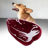 Maxbell Dog Squeak Food Shaped Chew Toy Durable Doll for Medium Large Dogs Steak 17x9x5cm