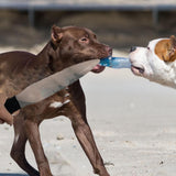 Maxbell Professional Dog No Bite Sticks Toy Break Stick for Pet Supplies Strong Dogs