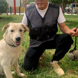 Maxbell Dog Training Vest for Handlers Durable for Travel Agility Obedience Training L Black