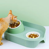 Maxbell Elevated Cat Bowls Raised Cat Food Bowls Pet Dishes for Cats and Small Dogs Green