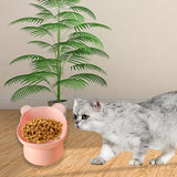Maxbell Raised Cat Bowls Indoor Cats Lightweight Neck Protection Cute for Kitty Pink
