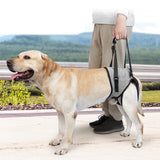 Maxbell Dog Lifting Support Harness Auxiliary Belt Dog Sling for Back Legs Portable S
