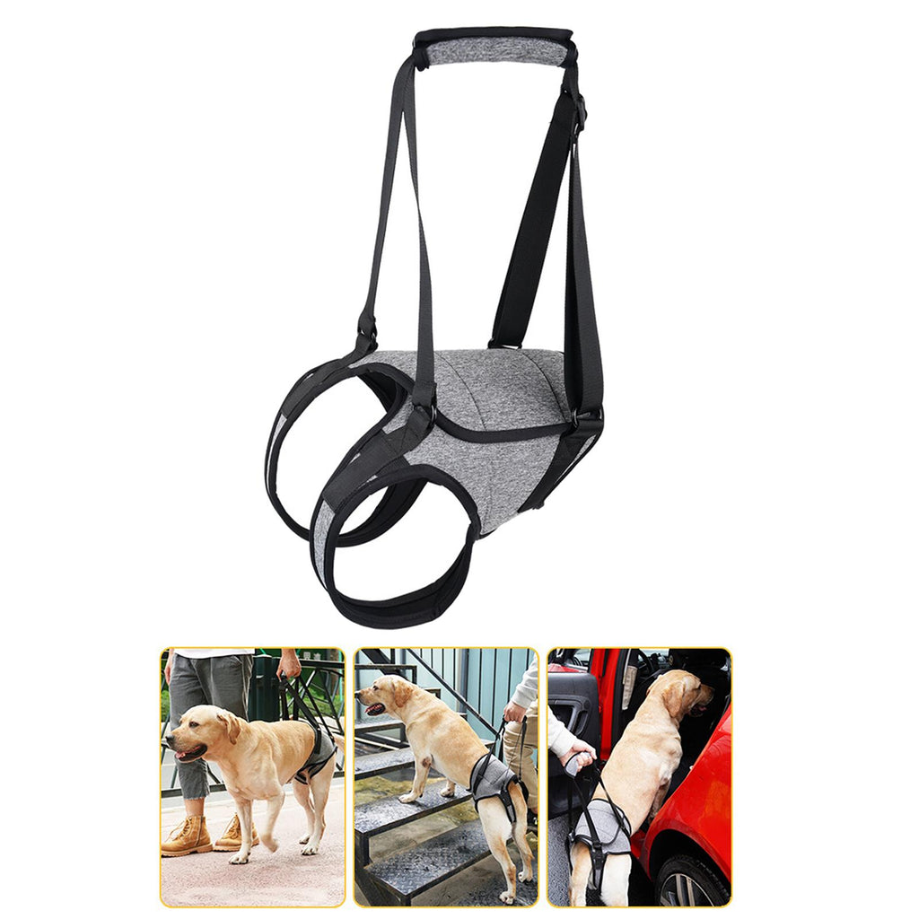 Maxbell Dog Lifting Support Harness Auxiliary Belt Dog Sling for Back Legs  Portable S