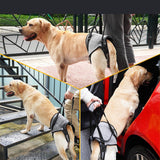 Maxbell Dog Lifting Support Harness Auxiliary Belt Dog Sling for Back Legs Portable M