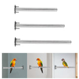 Maxbell Bird Perch Stainless Steel Parrot Toys Claws Grinding Rod Platform Portable 15cm