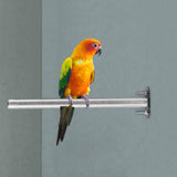 Maxbell Bird Perch Stainless Steel Parrot Toys Claws Grinding Rod Platform Portable 15cm