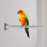 Maxbell Bird Perch Stainless Steel Parrot Toys Claws Grinding Rod Platform Portable 15cm