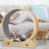 Maxbell Cat Running Wheel Exerciser Workout Game Kitten Cat Treadmill Exercise Wheel