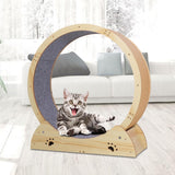 Maxbell Cat Running Wheel Exerciser Workout Game Kitten Cat Treadmill Exercise Wheel