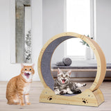 Maxbell Cat Running Wheel Exerciser Workout Game Kitten Cat Treadmill Exercise Wheel