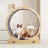 Maxbell Cat Running Wheel Exerciser Workout Game Kitten Cat Treadmill Exercise Wheel