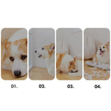Maxbell Dog Lick Pad Wet Food Lick Pad Puppy Playing Interactive Toy Dog Licking Mat M Size Black