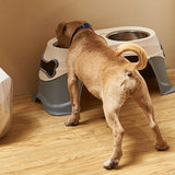 Maxbell Elevated Dog Bowls Raised Pet Bowl Stand Pet Feeder Non Slip Dog Dish Feeder
