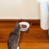 Maxbell Cat Food Bowl Feeder Waterer for Indoor Cats Removable Raised Pet Water Bowl Single Bowl