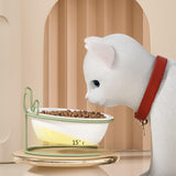 Maxbell Cat Food Bowl Feeder Waterer for Indoor Cats Removable Raised Pet Water Bowl Single Bowl