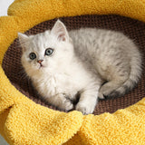 Maxbell Cat Scratcher Tree Comfortable Furniture Protector Hammock Cat Climbing Tree