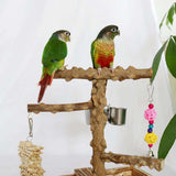 Maxbell Bird Playground Cockatiel Bird Toy Parrot Playstand for Canaries Macaw Finch
