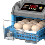 Maxbell Automatic Egg Incubator Easy Cleaning Chicken Hatcher for Quail Goose Pigeon 12 Eggs