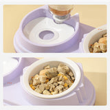 Maxbell Drinking Fountain Practical Tilted Cat Food Bowl for Rabbit Small Medium Dog Violet