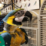Maxbell Parrot Collar Safety Neckband Protective Bead Collar for Macaw Birds Rodents L