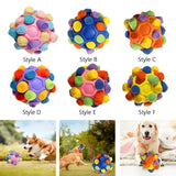 Maxbell Dog Sniff Ball Increase IQ Portable Puppy Playing Soft Dog Slow Feed Ball Style A