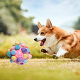 Maxbell Dog Sniff Ball Increase IQ Portable Puppy Playing Soft Dog Slow Feed Ball Style A