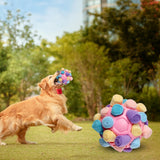 Maxbell Dog Sniff Ball Increase IQ Portable Puppy Playing Soft Dog Slow Feed Ball Style A