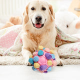 Maxbell Dog Sniff Ball Increase IQ Portable Puppy Playing Soft Dog Slow Feed Ball Style A