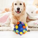 Maxbell Dog Sniff Ball Increase IQ Portable Puppy Playing Soft Dog Slow Feed Ball Style B