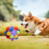 Maxbell Dog Sniff Ball Increase IQ Portable Puppy Playing Soft Dog Slow Feed Ball Style D