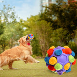 Maxbell Dog Sniff Ball Increase IQ Portable Puppy Playing Soft Dog Slow Feed Ball Style D