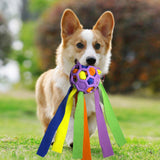Maxbell Dog Sniff Ball Increase IQ Portable Puppy Playing Soft Dog Slow Feed Ball Style D