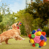 Maxbell Dog Sniff Ball Increase IQ Portable Puppy Playing Soft Dog Slow Feed Ball Style E