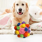 Maxbell Dog Sniff Ball Increase IQ Portable Puppy Playing Soft Dog Slow Feed Ball Style E