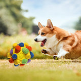 Maxbell Dog Sniff Ball Increase IQ Portable Puppy Playing Soft Dog Slow Feed Ball Style F