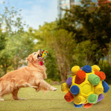 Maxbell Dog Sniff Ball Increase IQ Portable Puppy Playing Soft Dog Slow Feed Ball Style F